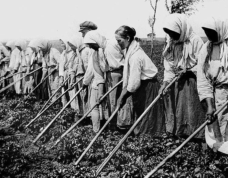 Иллюстрация к книге — Зубы дракона. Мои 30-е годы [i_009.jpg]