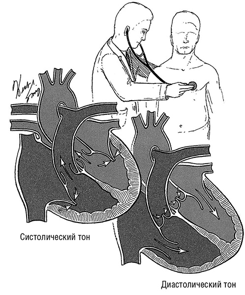 Иллюстрация к книге — Здоровое сердце. Издание XXI века [i_044.jpg]