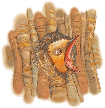 Иллюстрация к книге — Мальчик с пальчик и добрая мачеха [i_028.jpg]