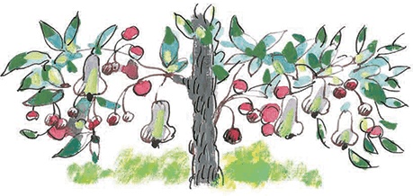 Иллюстрация к книге — Сказки не по правилам [i_012.jpg]