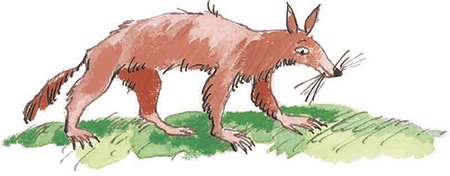 Иллюстрация к книге — Сказки не по правилам [i_017.jpg]