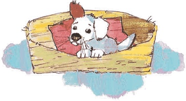 Иллюстрация к книге — Сказки не по правилам [i_020.jpg]