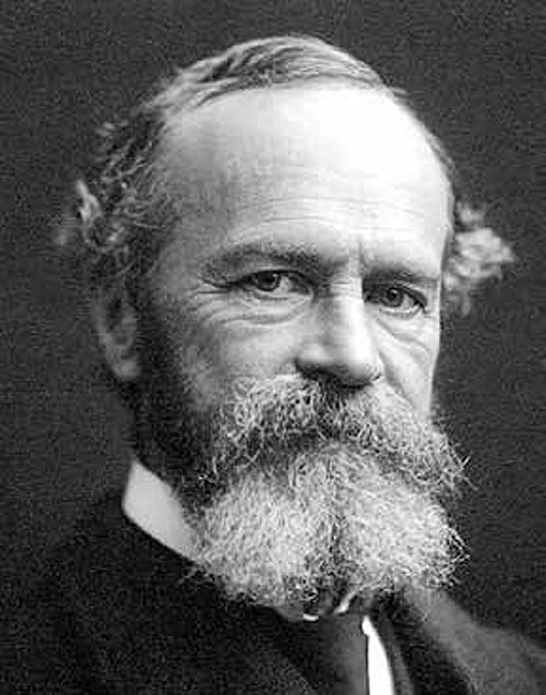 Иллюстрация к книге — Секс, игра и шоколад. Удовольствия и пристрастия [i_006.jpg]