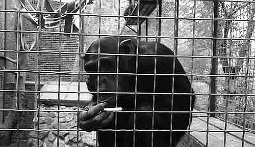 Иллюстрация к книге — Секс, игра и шоколад. Удовольствия и пристрастия [i_012.jpg]