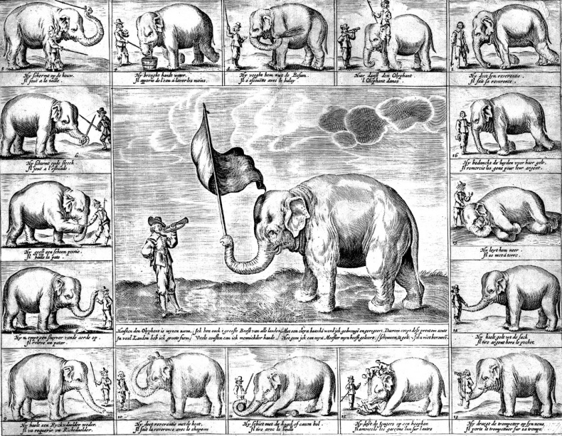 Иллюстрация к книге — Франкская империя Карла Великого. "Евросоюз" Средневековья [i_023.jpg]