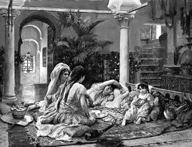 Иллюстрация к книге — Наложницы. Тайная жизнь восточного гарема [i_011.jpg]