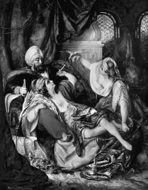 Иллюстрация к книге — Наложницы. Тайная жизнь восточного гарема [i_030.jpg]