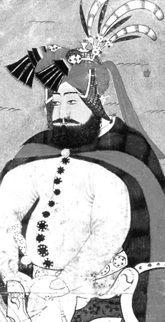 Иллюстрация к книге — Наложницы. Тайная жизнь восточного гарема [i_040.jpg]