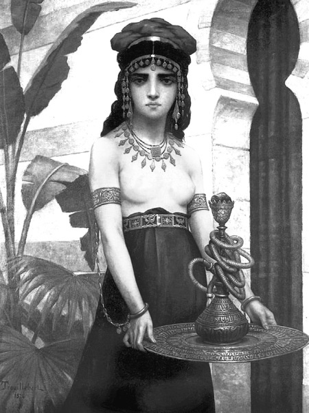 Иллюстрация к книге — Наложницы. Тайная жизнь восточного гарема [i_062.jpg]