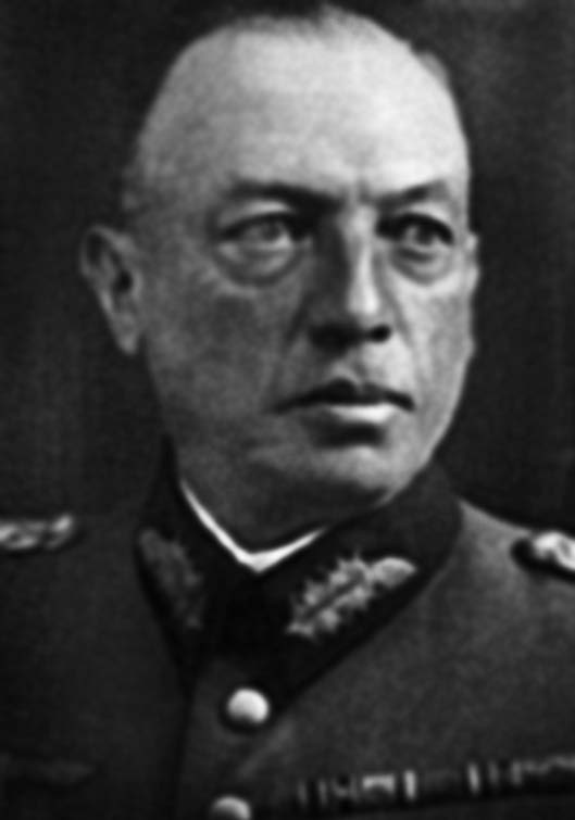 Иллюстрация к книге — Битва за Синявинские высоты. Мгинская дуга 1941-1942 гг. [_081.jpg]