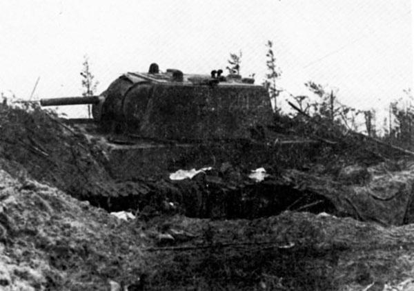 Иллюстрация к книге — Битва за Синявинские высоты. Мгинская дуга 1941-1942 гг. [_1651.jpg]