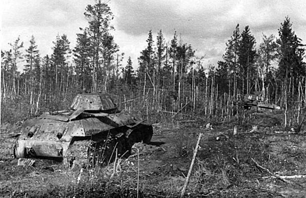 Иллюстрация к книге — Битва за Синявинские высоты. Мгинская дуга 1941-1942 гг. [_174.jpg]