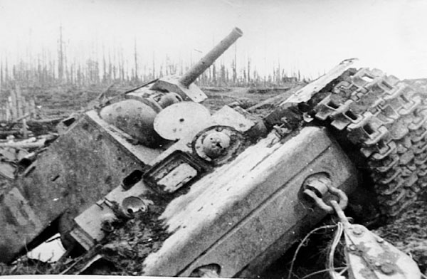 Иллюстрация к книге — Битва за Синявинские высоты. Мгинская дуга 1941-1942 гг. [_178.jpg]