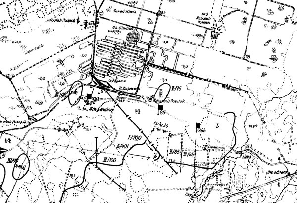 Иллюстрация к книге — Битва за Синявинские высоты. Мгинская дуга 1941-1942 гг. [_190.jpg]