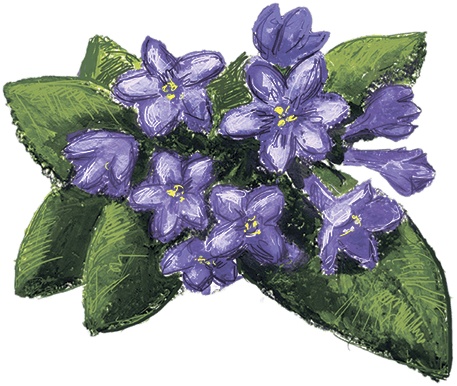 Иллюстрация к книге — Мечта Агаты [i_006.jpg]