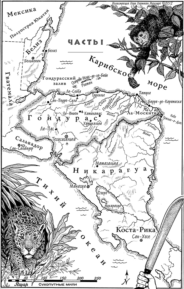 Иллюстрация к книге — Страна джунглей. В поисках мертвого города [i_001.jpg]