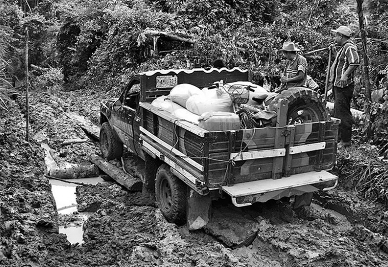 Иллюстрация к книге — Страна джунглей. В поисках мертвого города [i_012.jpg]