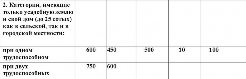 Иллюстрация к книге — Русское государство в немецком тылу. История Локотского самоуправления. 1941-1943 [i_024.jpg]