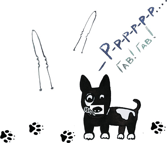 Иллюстрация к книге — Волшебные сказки, возвращающие здоровье. Дверь на Остров Мечты [i_006.jpg]