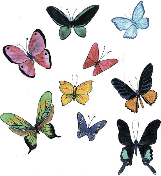 Иллюстрация к книге — Волшебные сказки, возвращающие здоровье. Дверь на Остров Мечты [i_019.jpg]