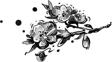 Иллюстрация к книге — Эльфика. Сказки великого перехода. О Судьбе, Душе и Выборе [i_004.jpg]