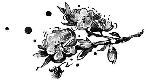 Иллюстрация к книге — Эльфика. Сказки великого перехода. О Судьбе, Душе и Выборе [i_010.jpg]