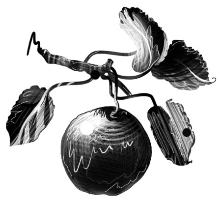 Иллюстрация к книге — В поисках неземной любви. Окрыляющие сказки о женщинах и звездах [i_019.jpg]