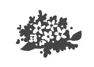 Иллюстрация к книге — В поисках неземной любви. Окрыляющие сказки о женщинах и звездах [i_030.jpg]