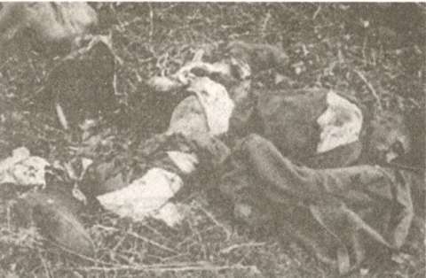 Иллюстрация к книге — "Штрафники" СС. Зондеркоманда "Дирлевангер" [i_011.jpg]