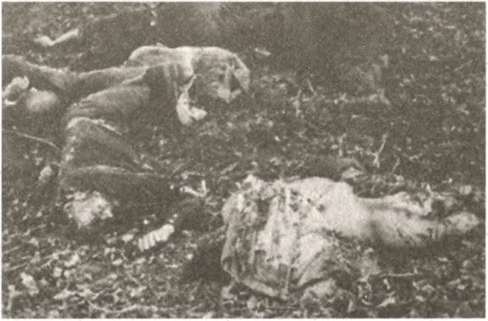 Иллюстрация к книге — "Штрафники" СС. Зондеркоманда "Дирлевангер" [i_012.jpg]