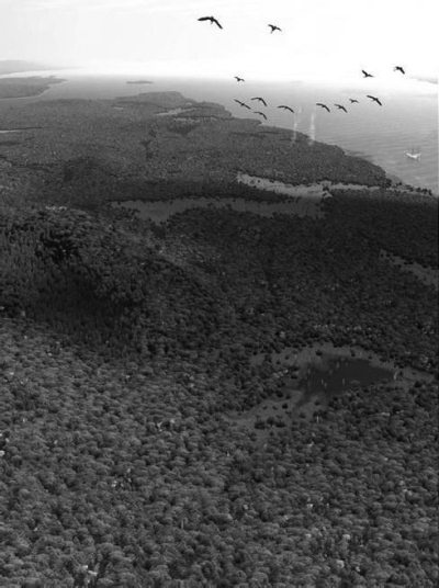 Иллюстрация к книге — Земля без людей [i_002.jpg]