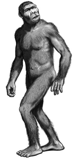 Иллюстрация к книге — Земля без людей [i_004.jpg]