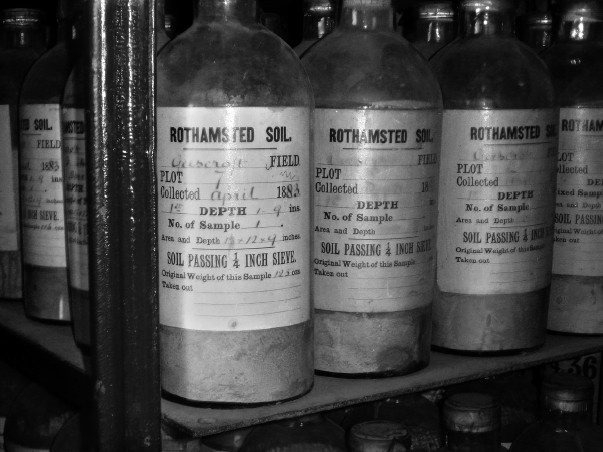 Иллюстрация к книге — Земля без людей [i_010.jpg]