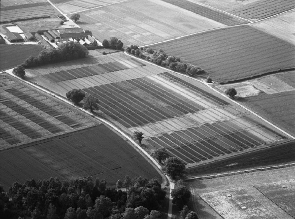 Иллюстрация к книге — Земля без людей [i_011.jpg]