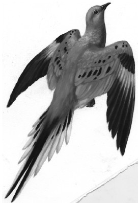 Иллюстрация к книге — Земля без людей [i_014.jpg]