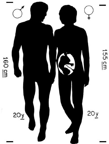 Иллюстрация к книге — Земля без людей [i_017.jpg]