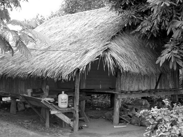 Иллюстрация к книге — Всего лишь 13. Подлинная история Лон [i_043.jpg]