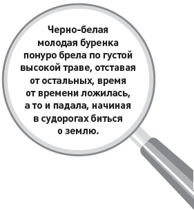 Иллюстрация к книге — Убийство под микроскопом: записки судмедэксперта [i_024.jpg]