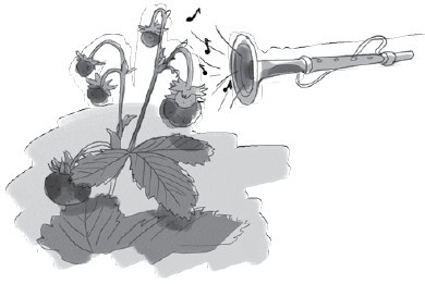 Иллюстрация к книге — Анатомия глупости [i_017.jpg]