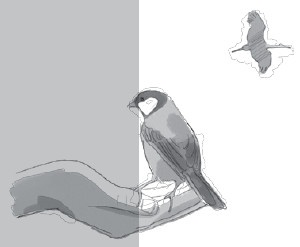 Иллюстрация к книге — Анатомия глупости [i_020.jpg]