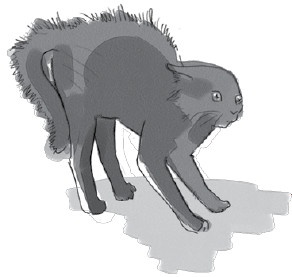 Иллюстрация к книге — Анатомия глупости [i_022.jpg]