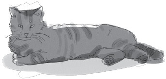 Иллюстрация к книге — Анатомия глупости [i_023.jpg]