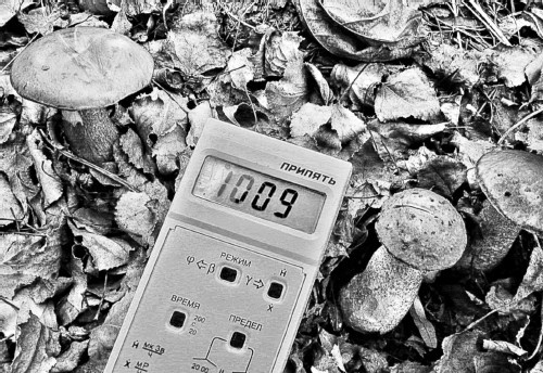 Иллюстрация к книге — Сверхигра [i_012.jpg]