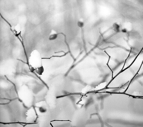 Иллюстрация к книге — Сверхигра [i_030.jpg]