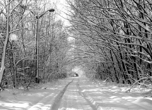 Иллюстрация к книге — Сверхигра [i_052.jpg]