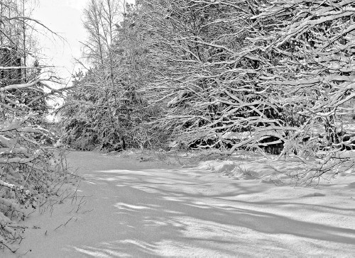 Иллюстрация к книге — Сверхигра [i_054.jpg]