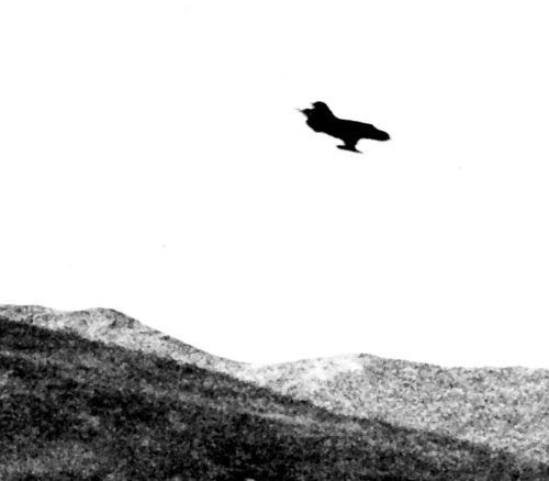 Иллюстрация к книге — Выжженное небо Афгана. Боевая авиация в Афганской войне [i_024.jpg]