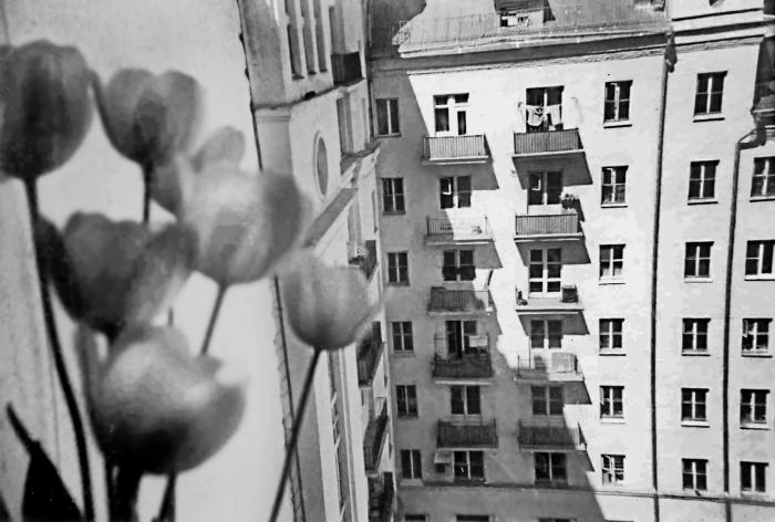 Иллюстрация к книге — Ключ. Последняя Москва [Autogen_eBook_id5.jpg]