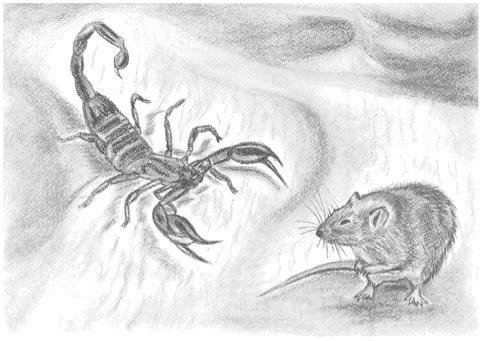 Иллюстрация к книге — Ловец фей [_03.jpg]