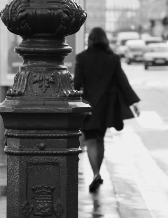 Иллюстрация к книге — В поисках Парижа, или Вечное возвращение [_086_1.jpg]